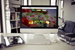 食品公司网页设计与广告设计的融合 打造品牌吸引力与用户体验